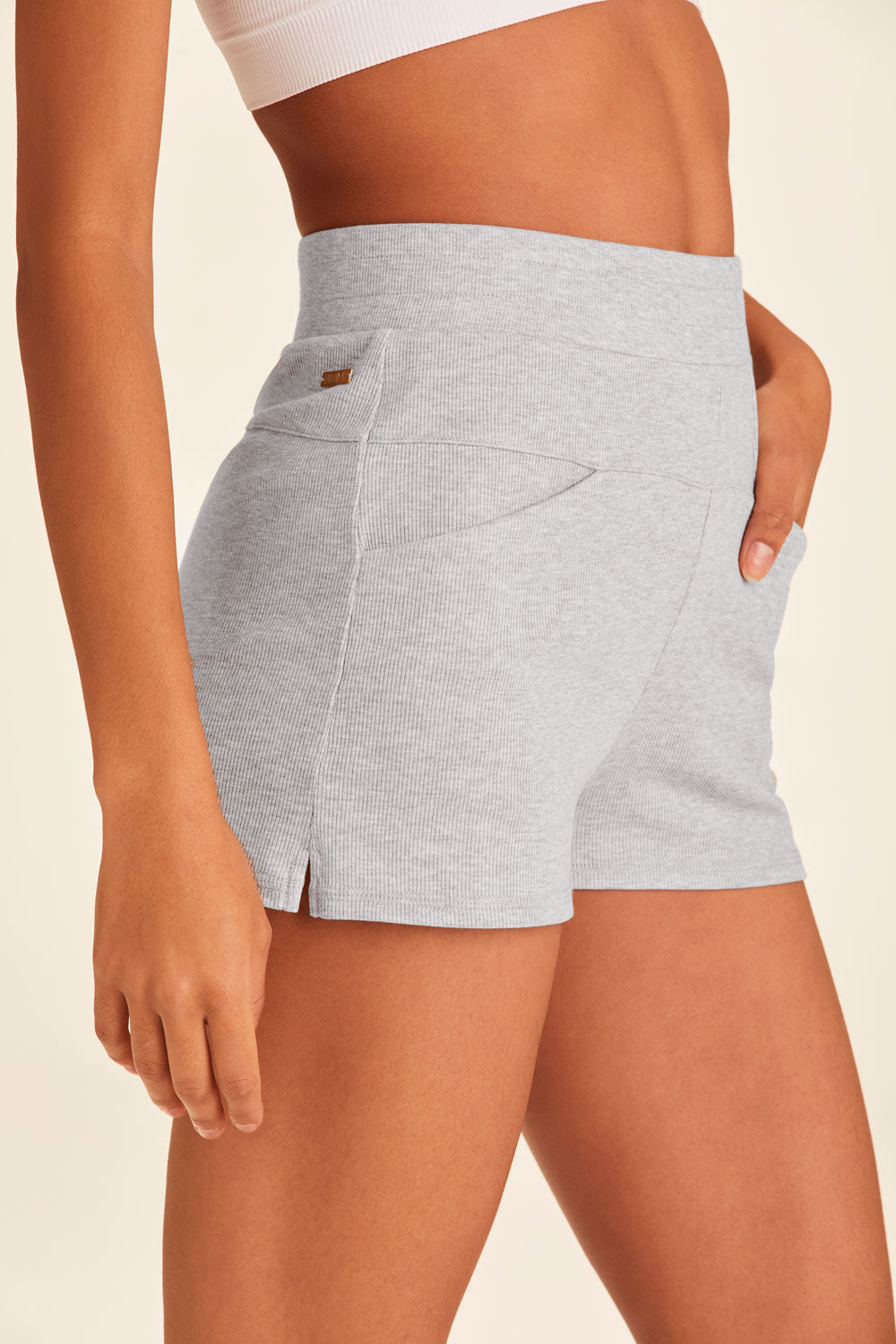 Alala Plie Short in Heather Grey