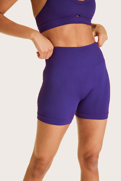 After Hours Seamless F/L Tight, Purple