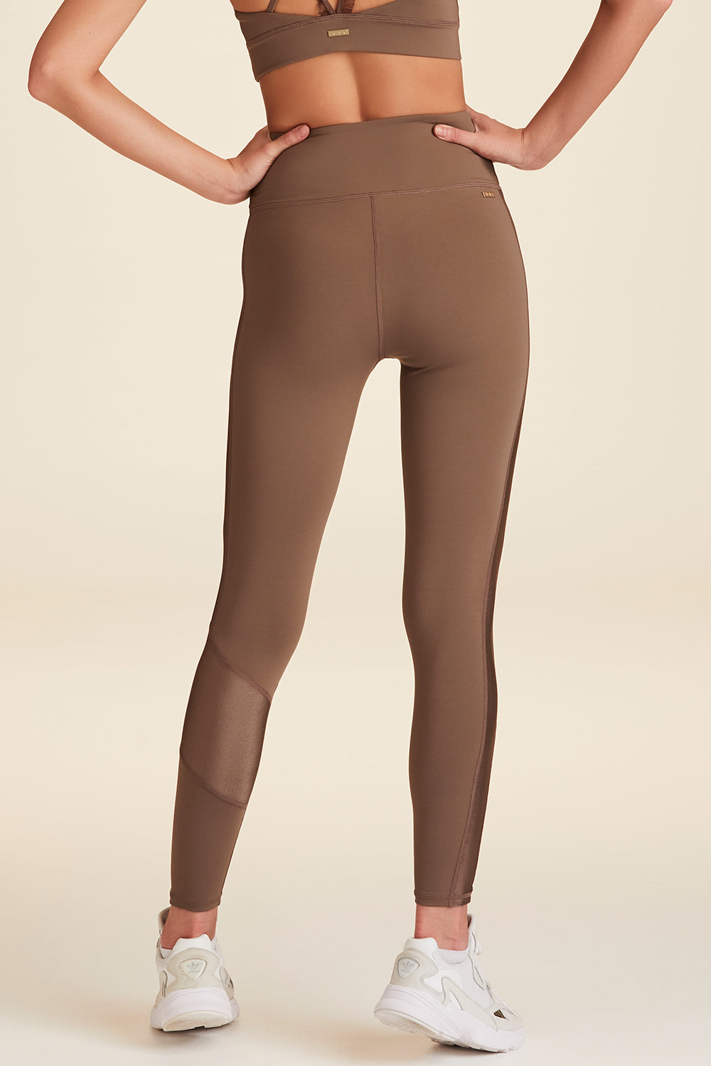 Calzedonia Leggings - Trousers - braun c brown/brown - Zalando.de