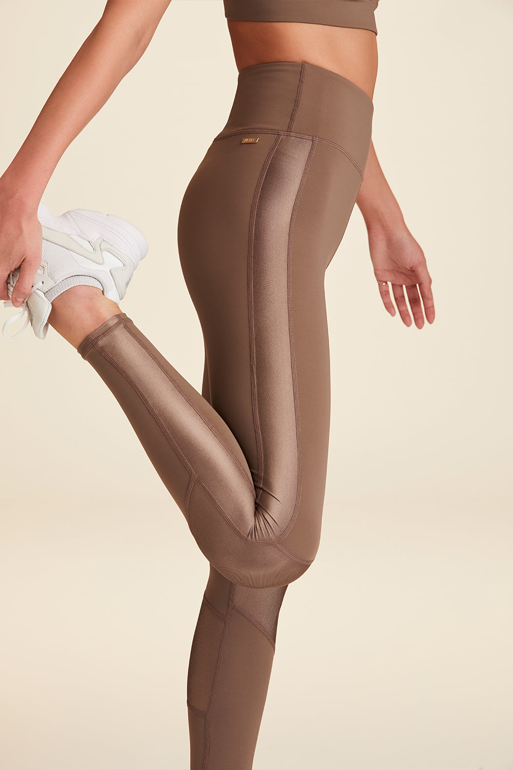 Women's Casual Plain Regular Chocolate Brown Leggings L - Walmart.com